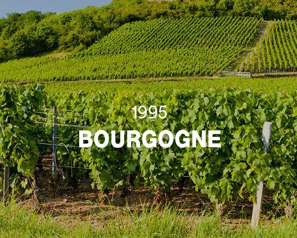 1995 - BOURGOGNE